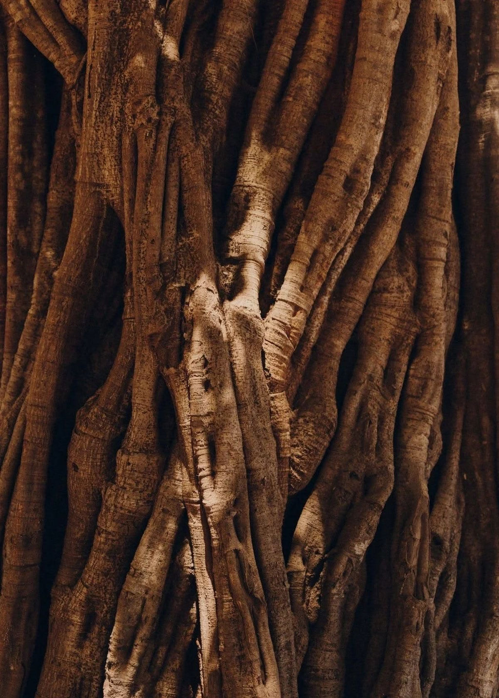 INCENSE ASH